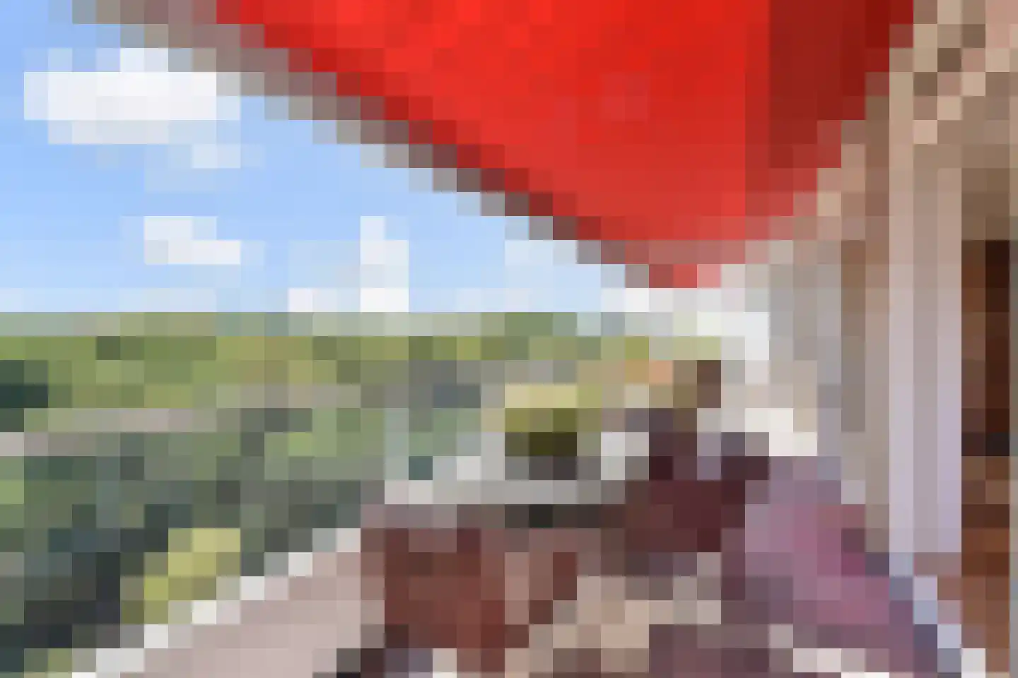 Ruychrocklaan 452 Den Haag thumbnail 16