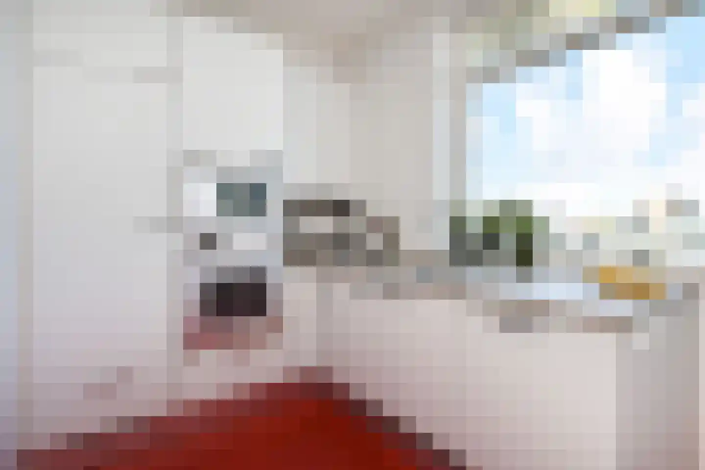 Ruychrocklaan 452 Den Haag thumbnail 18