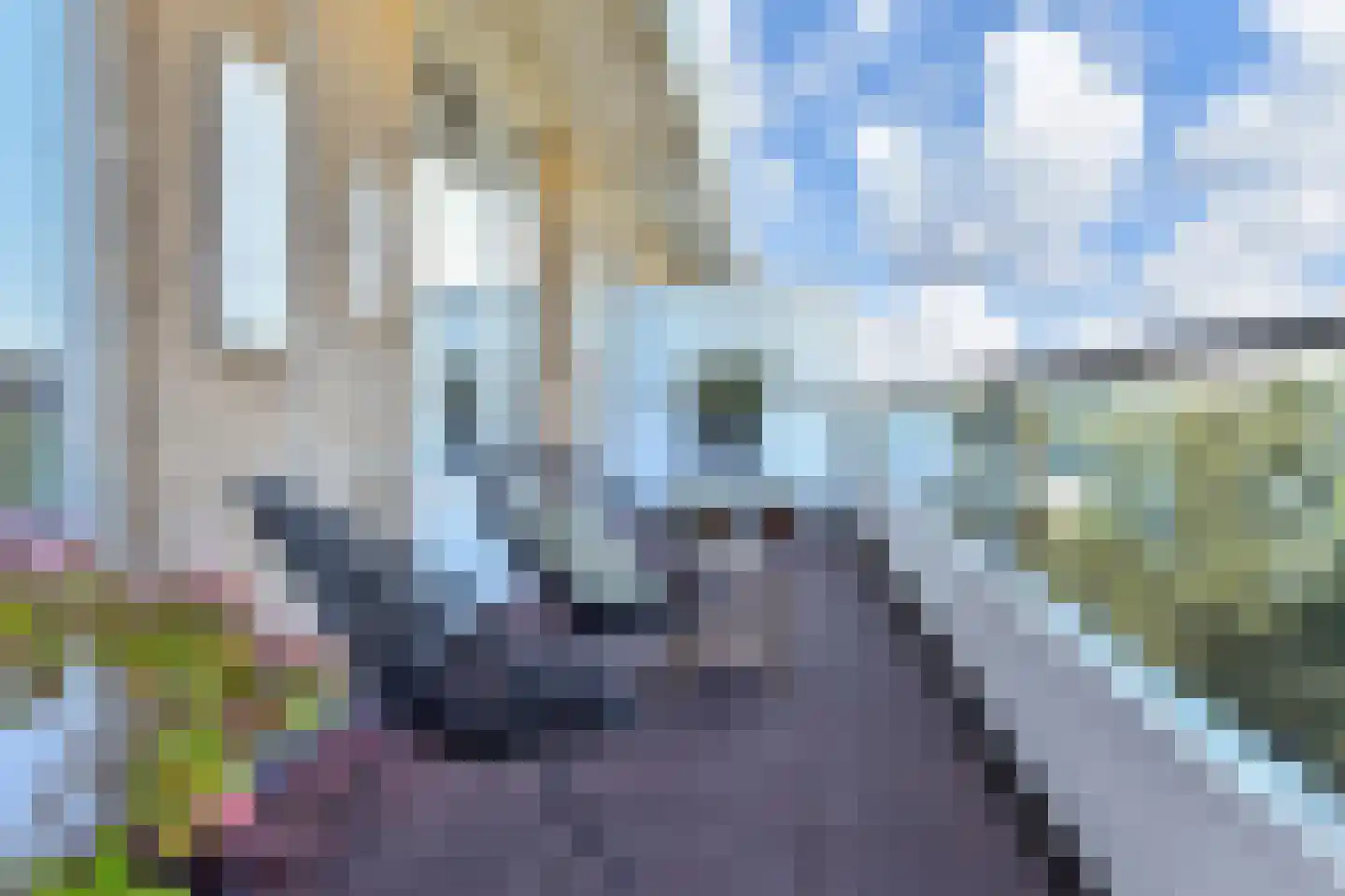 Ruychrocklaan 452 Den Haag thumbnail 22