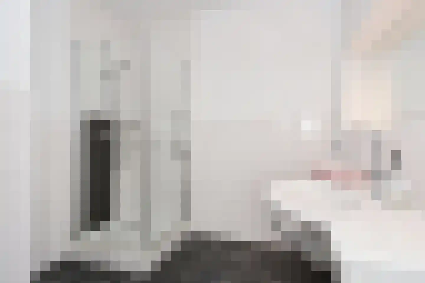 Ruychrocklaan 452 Den Haag thumbnail 30