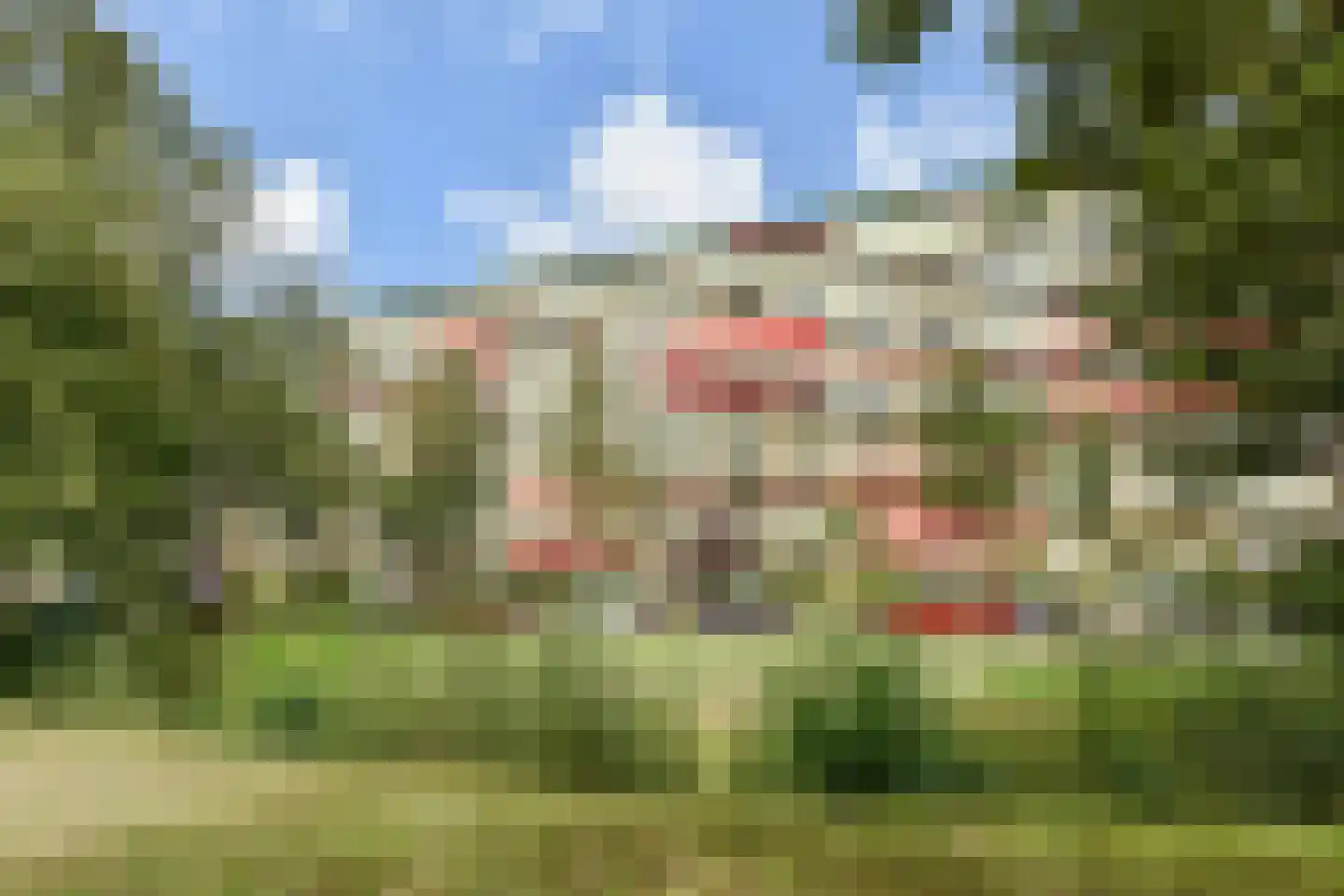 Ruychrocklaan 452 Den Haag thumbnail 6