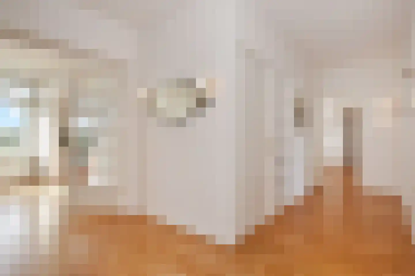 Ruychrocklaan 452 Den Haag thumbnail 7
