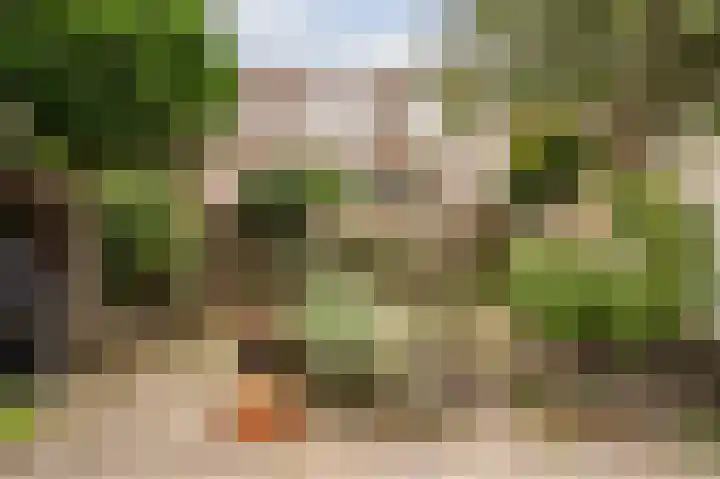 Ruychrocklaan 56 Den Haag thumbnail 10