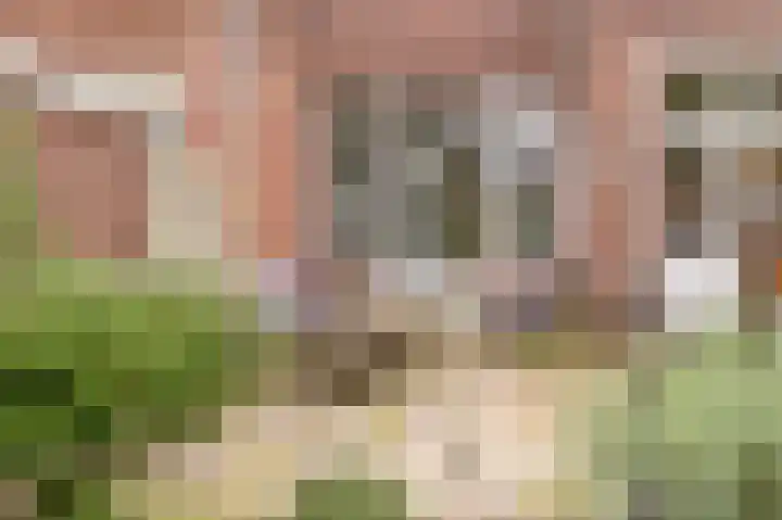Ruychrocklaan 56 Den Haag thumbnail 11