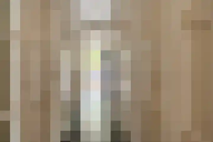 Ruychrocklaan 56 Den Haag thumbnail 15