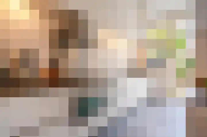 Ruychrocklaan 56 Den Haag thumbnail 17
