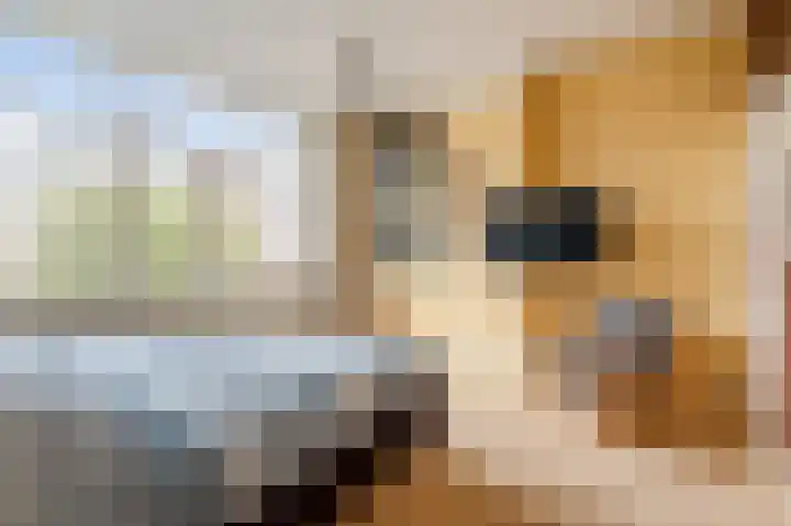 Ruychrocklaan 56 Den Haag thumbnail 24