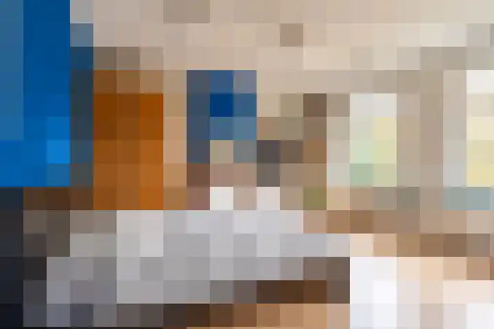Ruychrocklaan 56 Den Haag thumbnail 31
