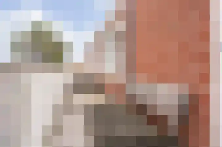 Ruychrocklaan 56 Den Haag thumbnail 37