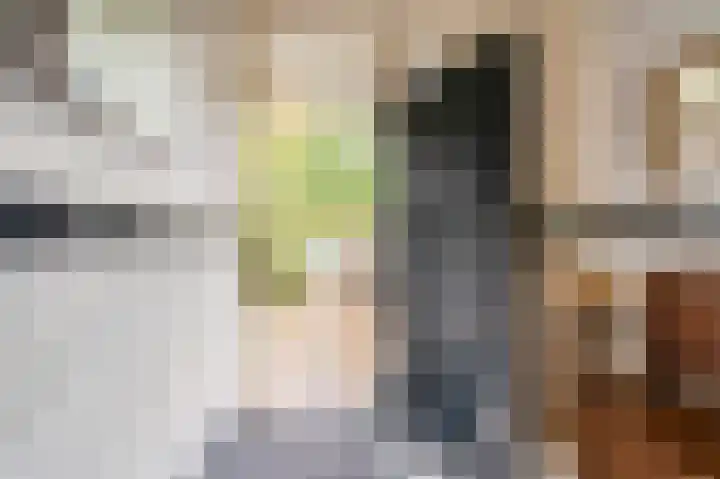 Ruychrocklaan 56 Den Haag thumbnail 4