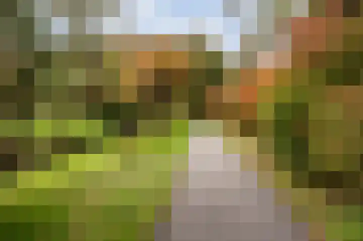 Ruychrocklaan 56 Den Haag thumbnail 41