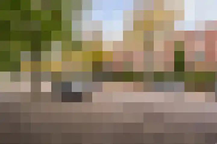 Ruychrocklaan 56 Den Haag thumbnail 42