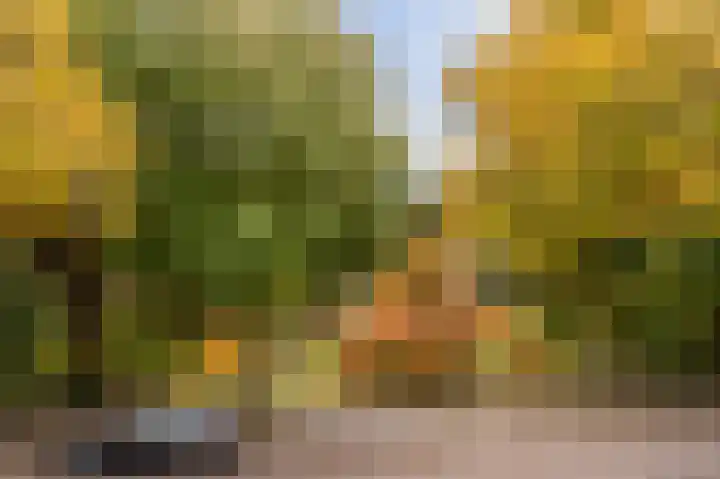 Ruychrocklaan 56 Den Haag thumbnail 43