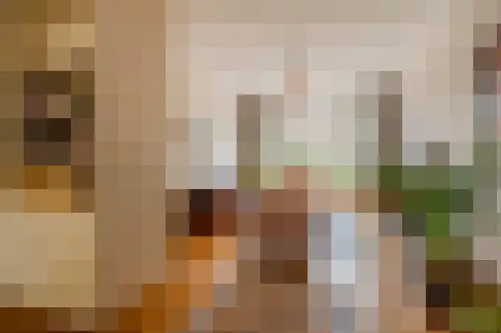 Ruychrocklaan 56 Den Haag thumbnail 7