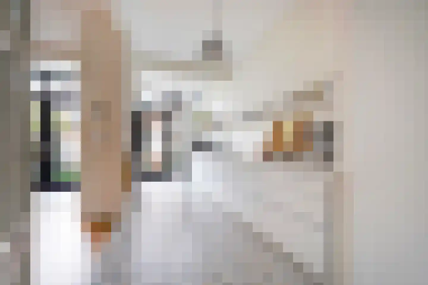 Ruychrocklaan 64 Den Haag thumbnail 15
