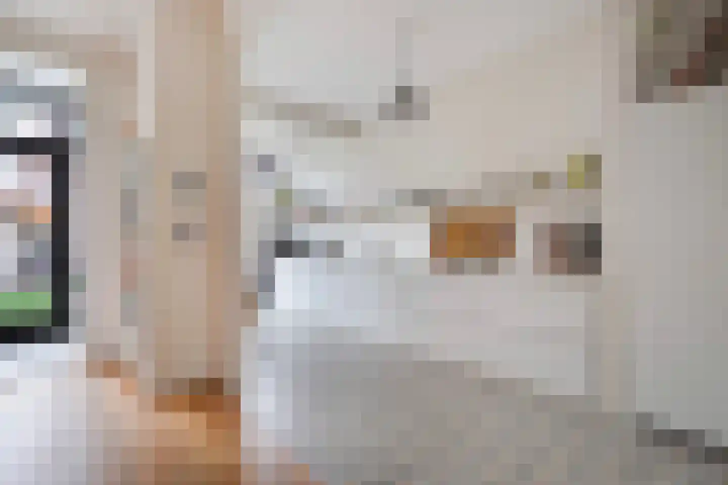 Ruychrocklaan 64 Den Haag thumbnail 16