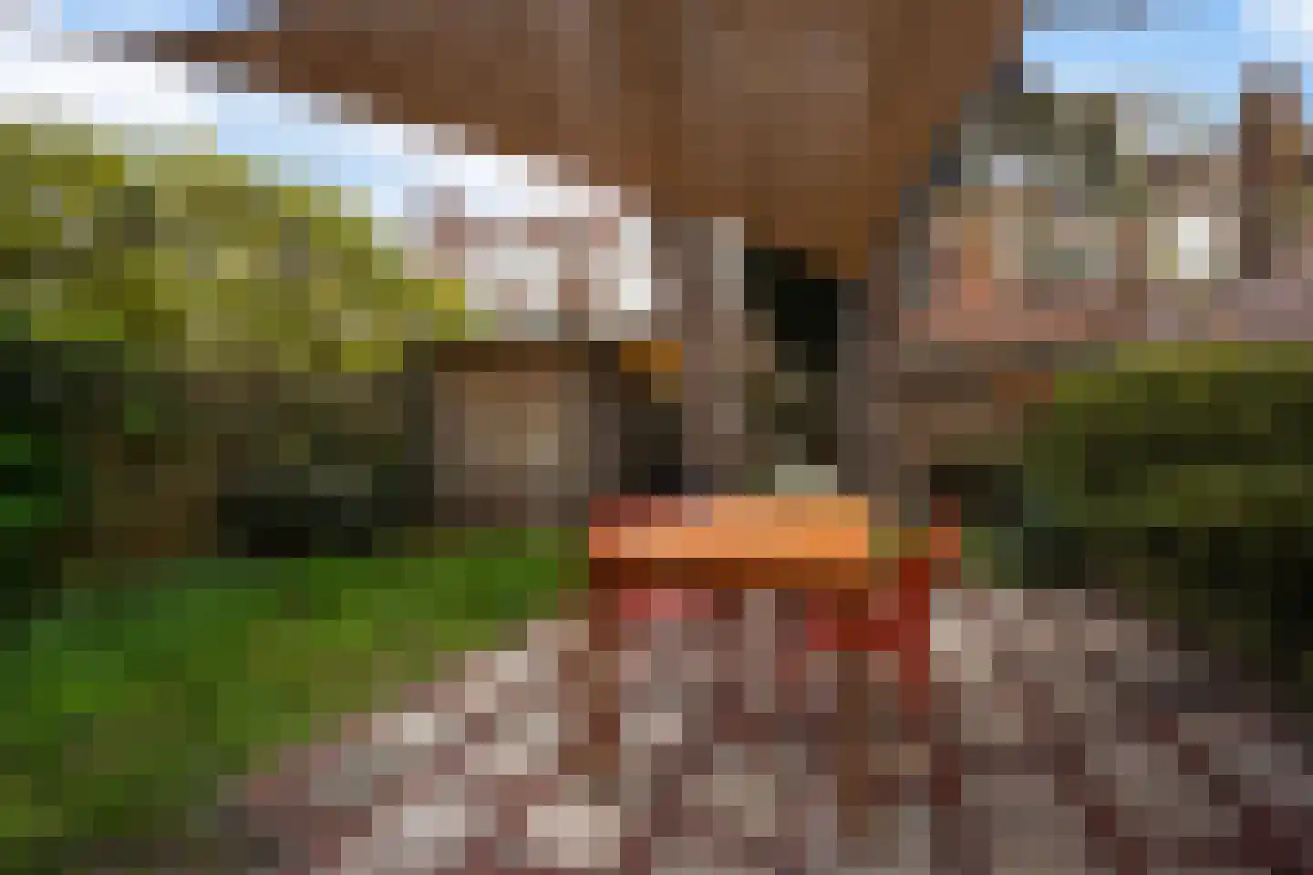 Ruychrocklaan 64 Den Haag thumbnail 19