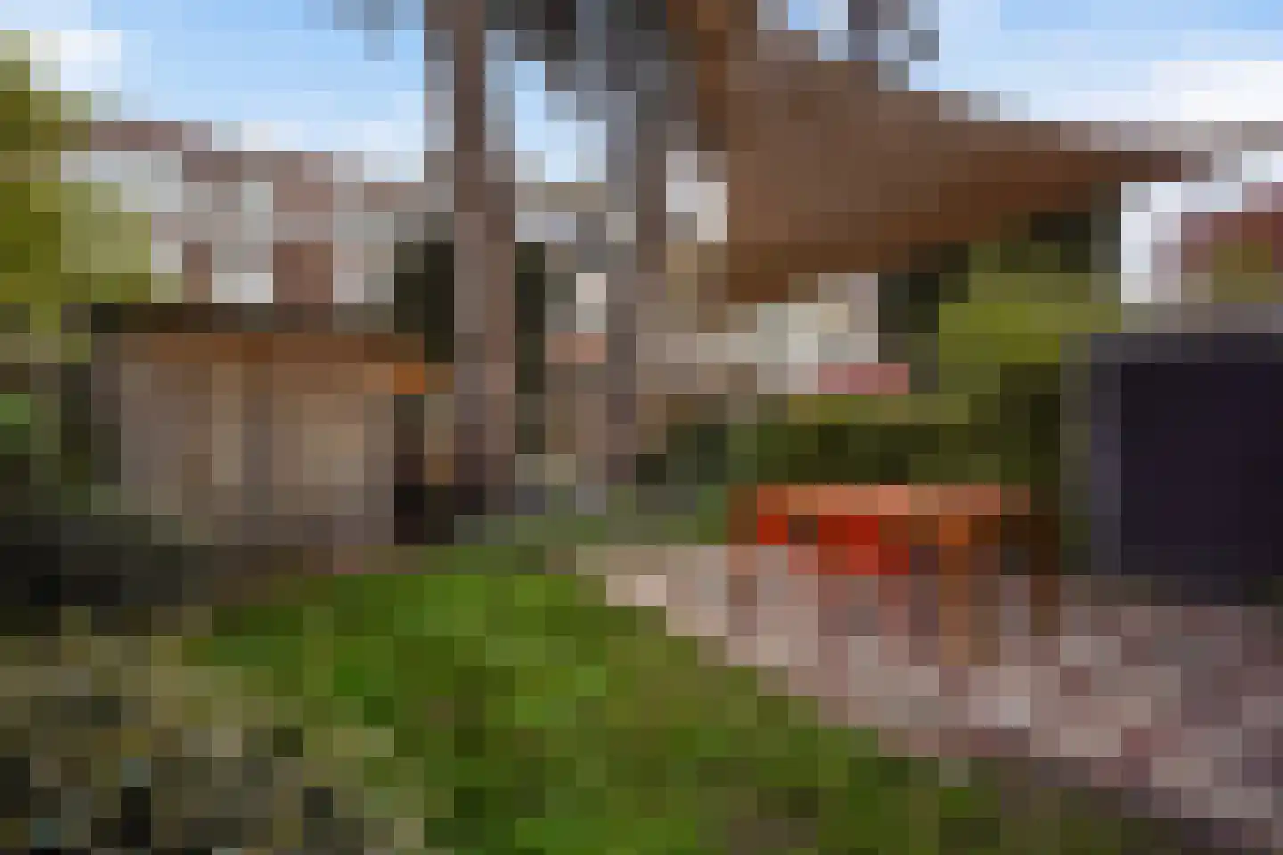 Ruychrocklaan 64 Den Haag thumbnail 20