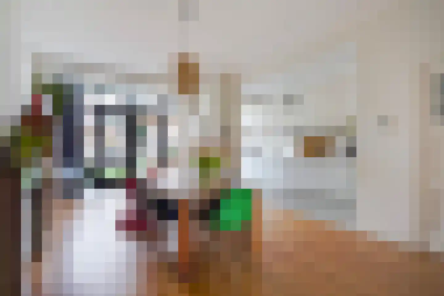 Ruychrocklaan 64 Den Haag thumbnail 4