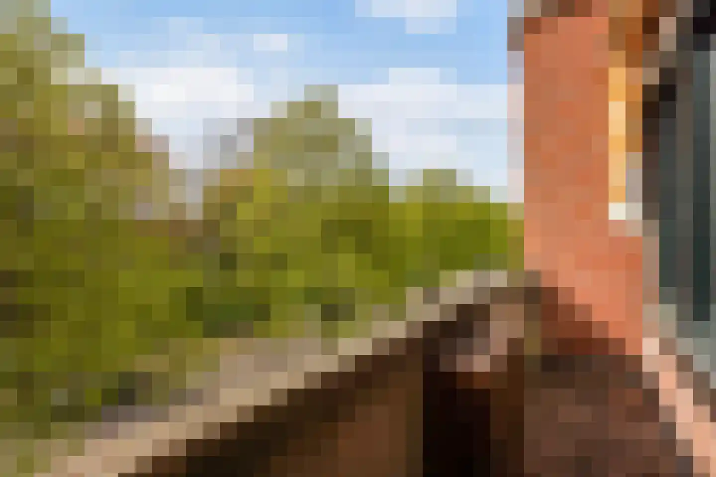 Ruychrocklaan 64 Den Haag thumbnail 44
