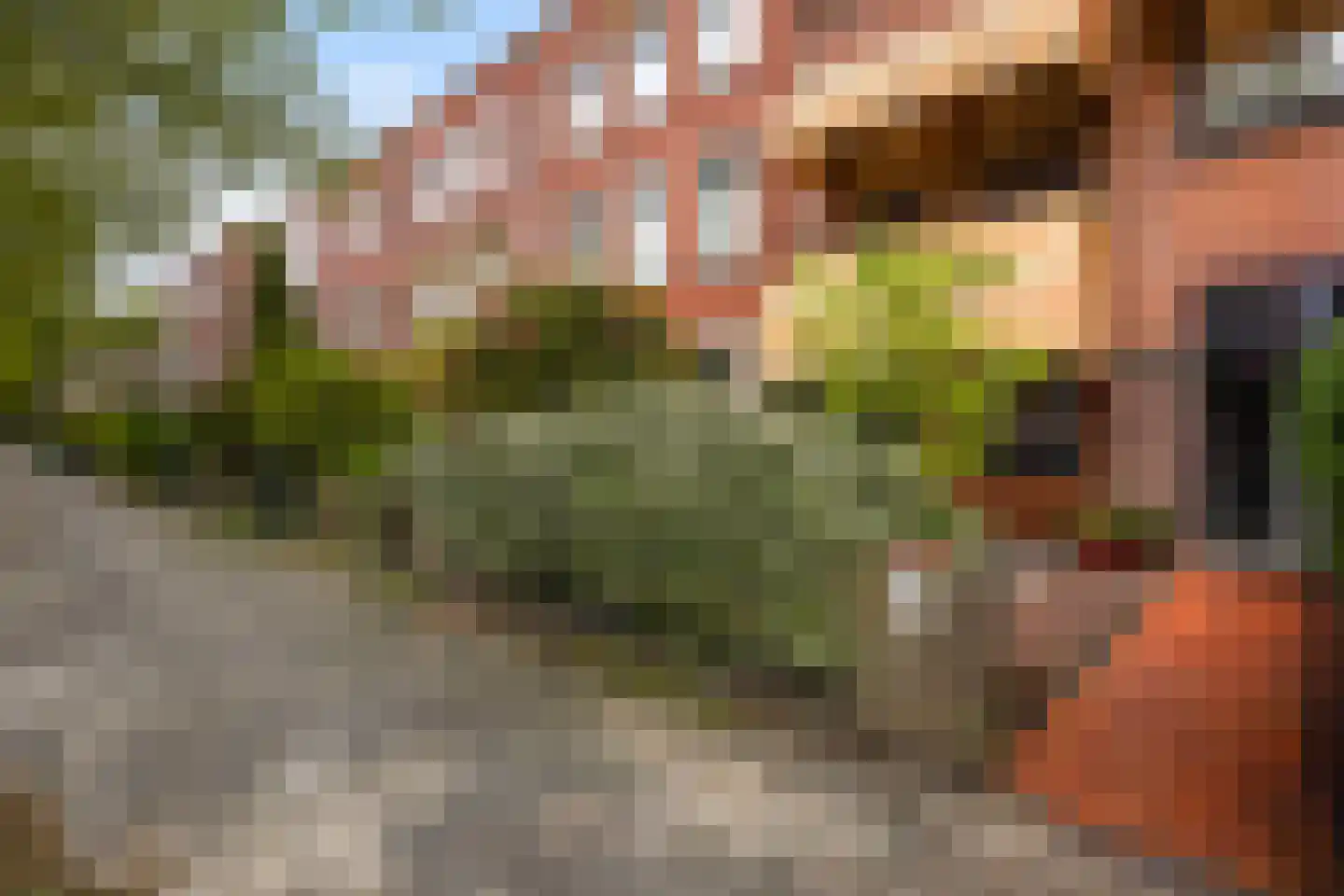Ruychrocklaan 64 Den Haag thumbnail 45