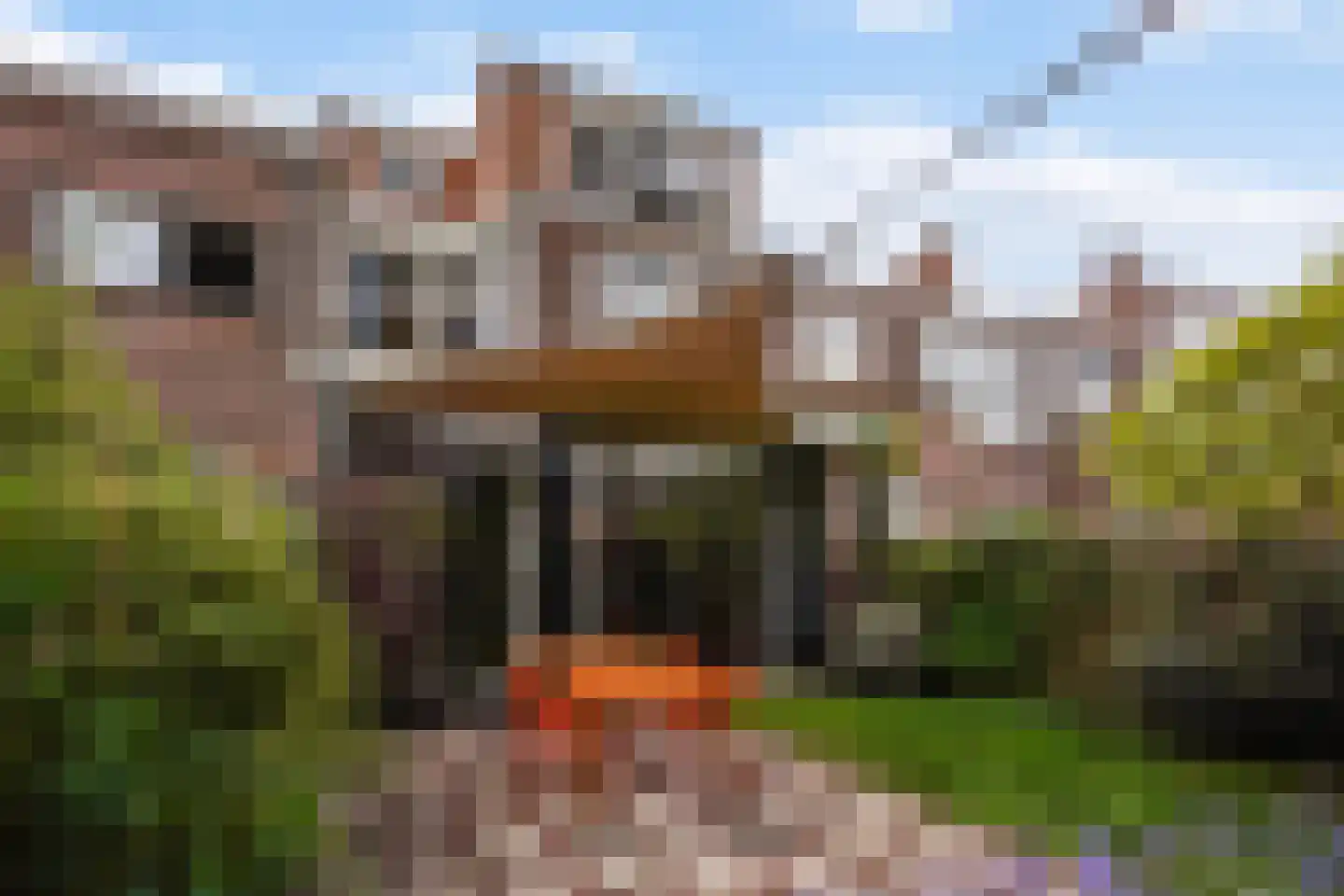 Ruychrocklaan 64 Den Haag thumbnail 7