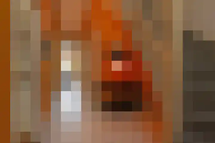 Ruychrocklaan 84 Den Haag thumbnail 10