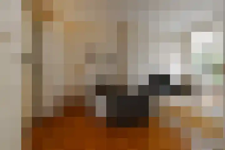 Ruychrocklaan 84 Den Haag thumbnail 13