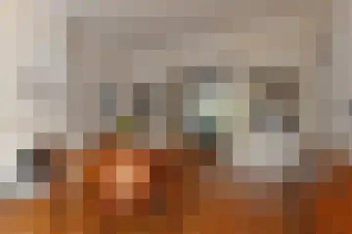 Ruychrocklaan 84 Den Haag thumbnail 17