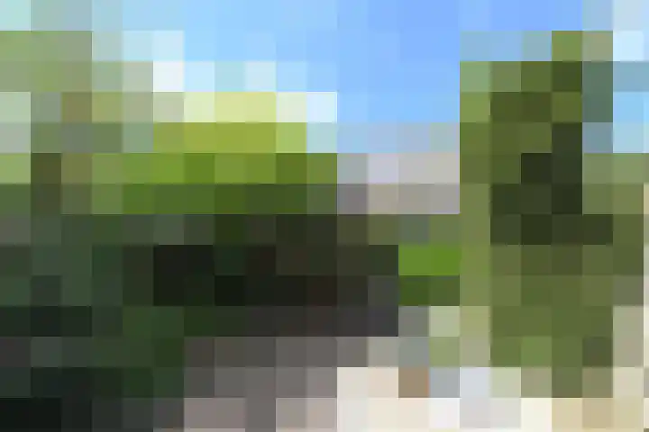 Ruychrocklaan 84 Den Haag thumbnail 19