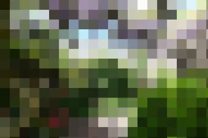 Ruychrocklaan 84 Den Haag thumbnail 20