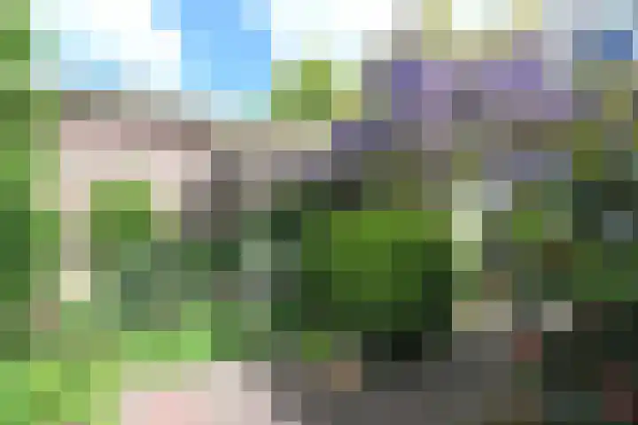 Ruychrocklaan 84 Den Haag thumbnail 21