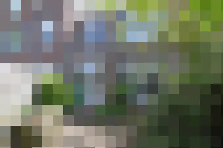 Ruychrocklaan 84 Den Haag thumbnail 23