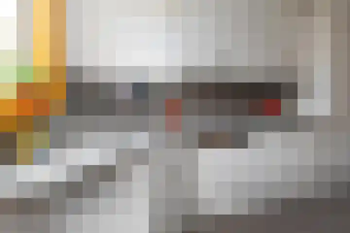 Ruychrocklaan 84 Den Haag thumbnail 27