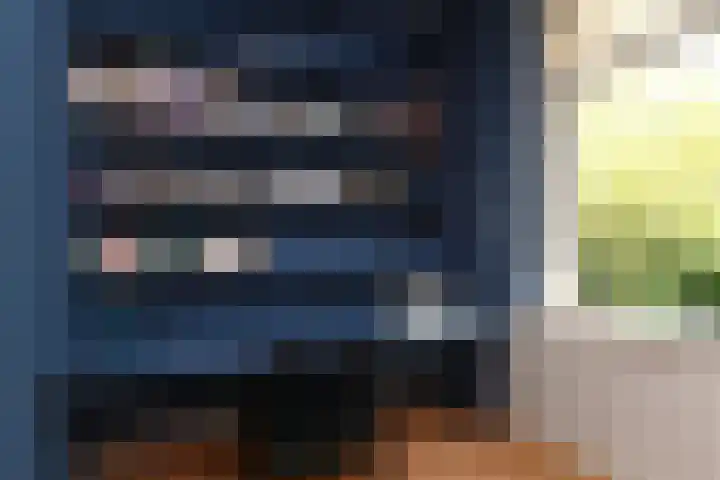 Ruychrocklaan 84 Den Haag thumbnail 34