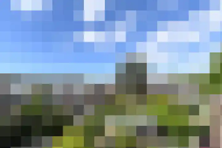 Ruychrocklaan 84 Den Haag thumbnail 55