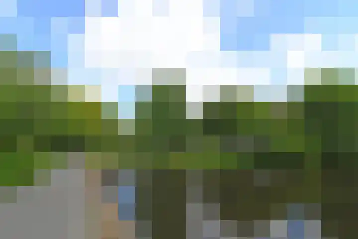 Ruychrocklaan 84 Den Haag thumbnail 57