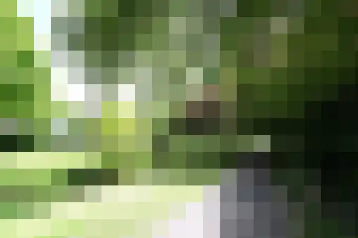 Ruychrocklaan 84 Den Haag thumbnail 59