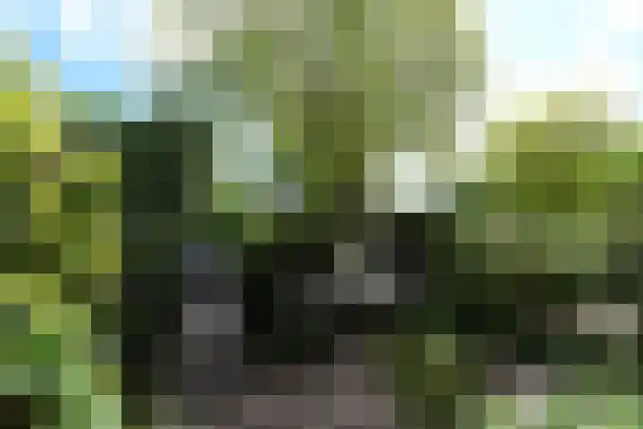 Ruychrocklaan 84 Den Haag thumbnail 6