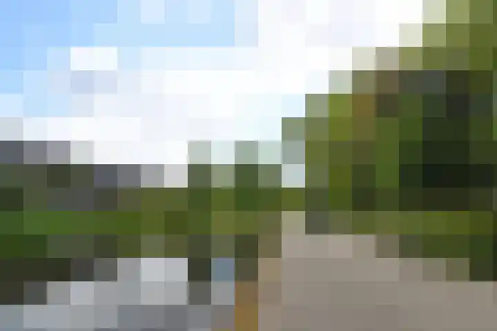 Ruychrocklaan 84 Den Haag thumbnail 60