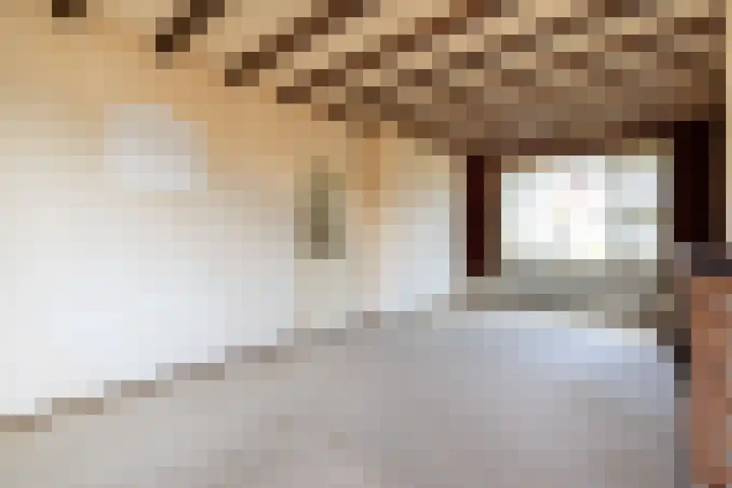 Ruychrockstraat 33 Oude-Tonge thumbnail 7