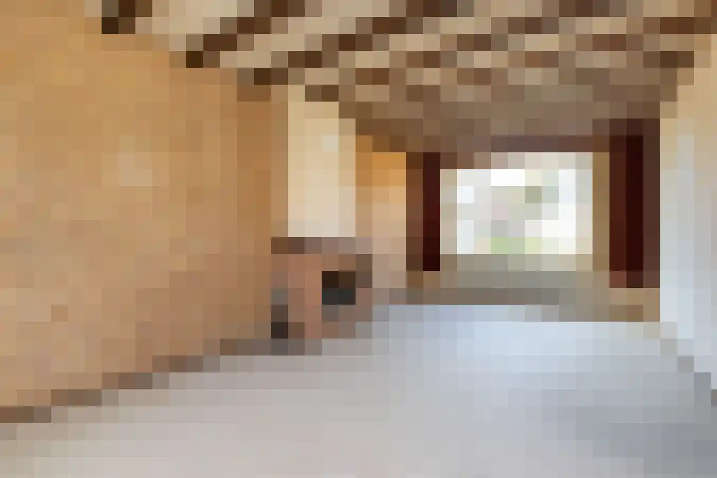 Ruychrockstraat 33 Oude-Tonge thumbnail 9