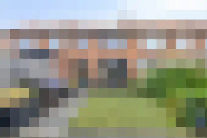 Ruychrockstraat 45 Oude-Tonge thumbnail 24