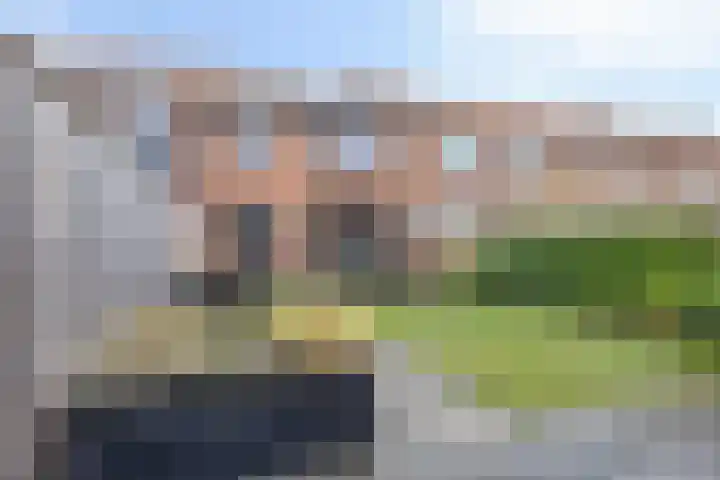 Ruychrockstraat 45 Oude-Tonge thumbnail 25