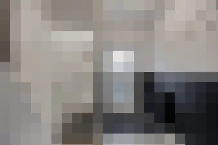 Ruychrockstraat 45 Oude-Tonge thumbnail 7