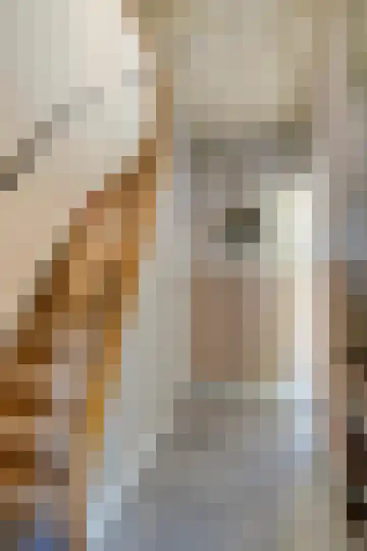 Ruychrockstraat 47 Oude-Tonge thumbnail 8