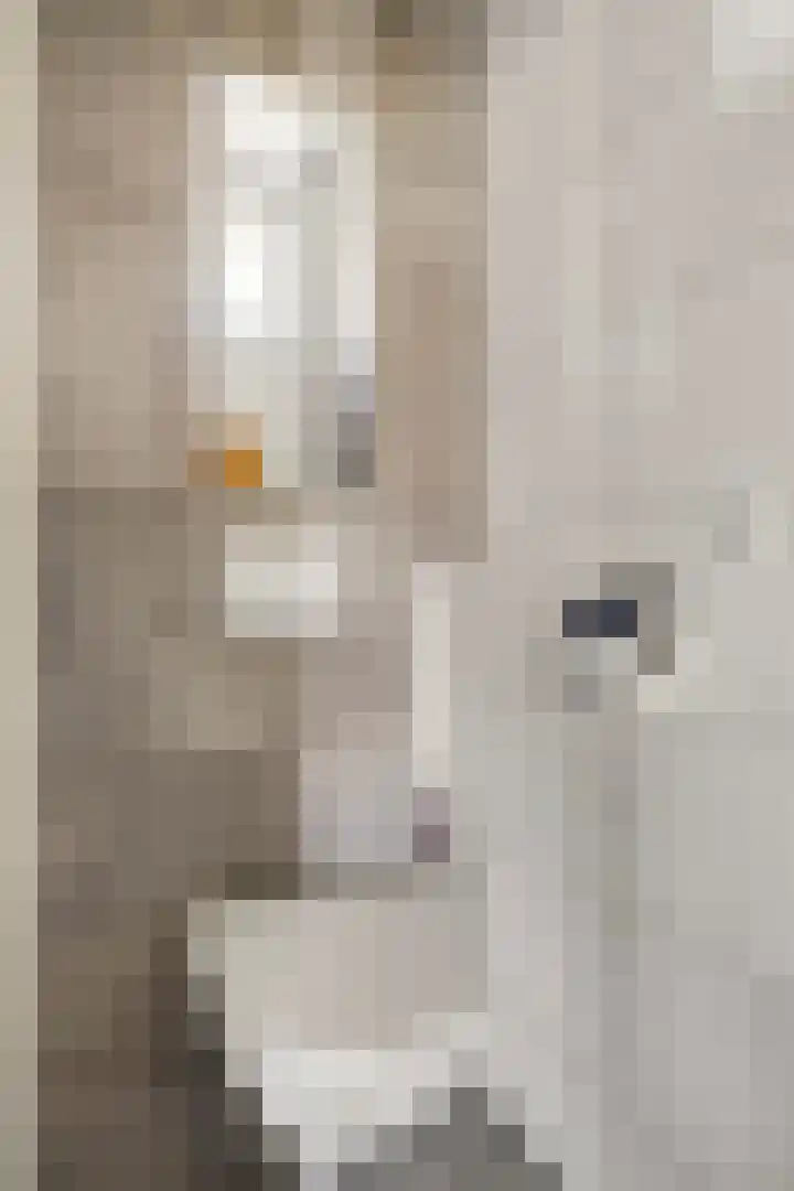 Ruychrockstraat 47 Oude-Tonge thumbnail 9