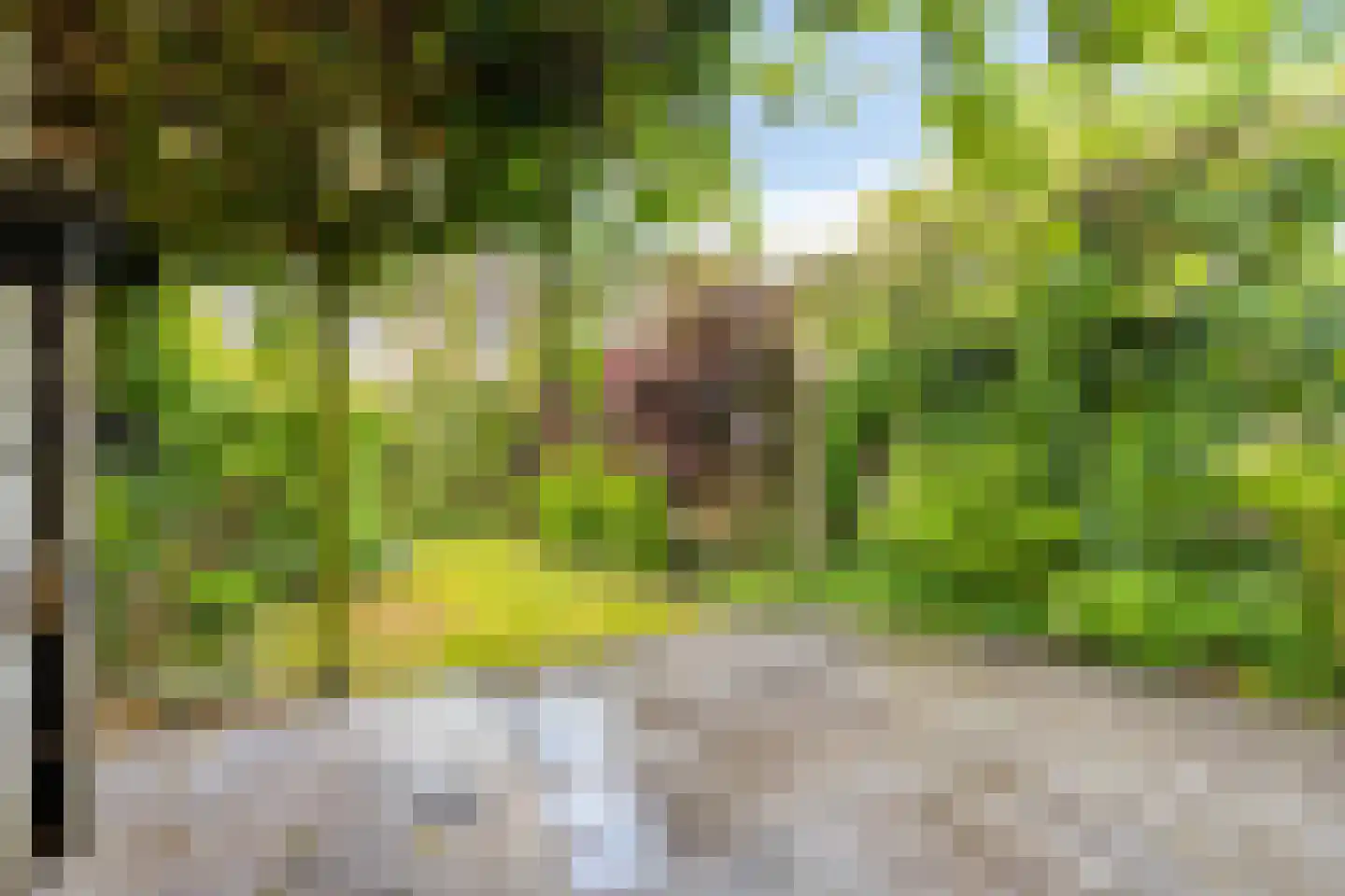 Ruygekroft 19 Egmond-Binnen thumbnail 37