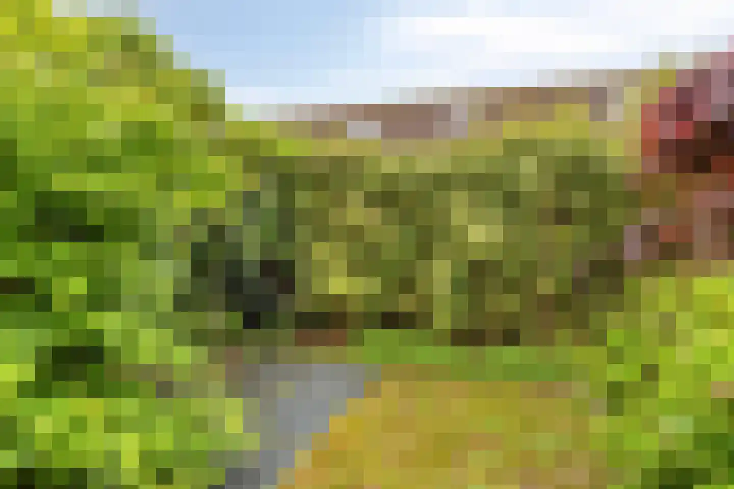 Ruygekroft 19 Egmond-Binnen thumbnail 39