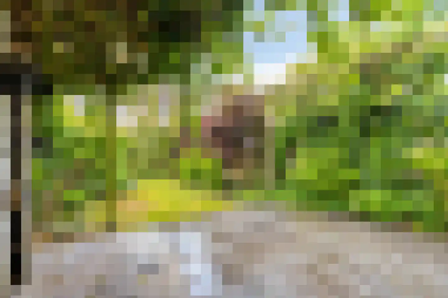 Ruygekroft 19 Egmond-Binnen thumbnail 4